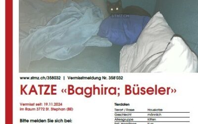 VERMISST!