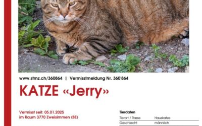 !VERMISST!