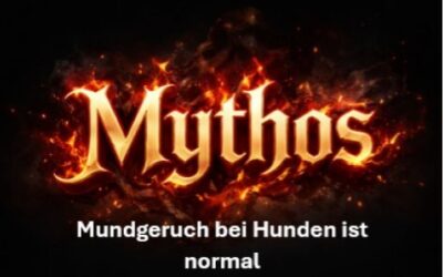 Mythos und Wahrheit